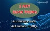 Tính chất và ứng dụng của axit clohidric HCl và axit sunfuric H2SO4