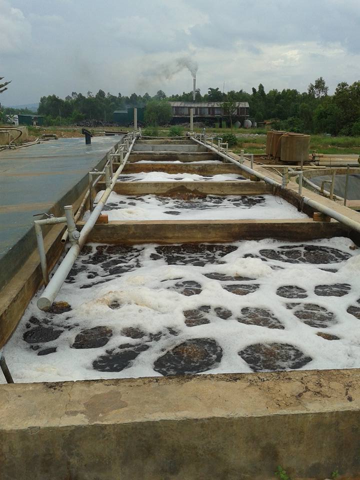 Xử lý nước thải công nghiệp